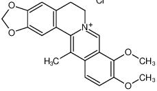 13-Methylberberine chloride